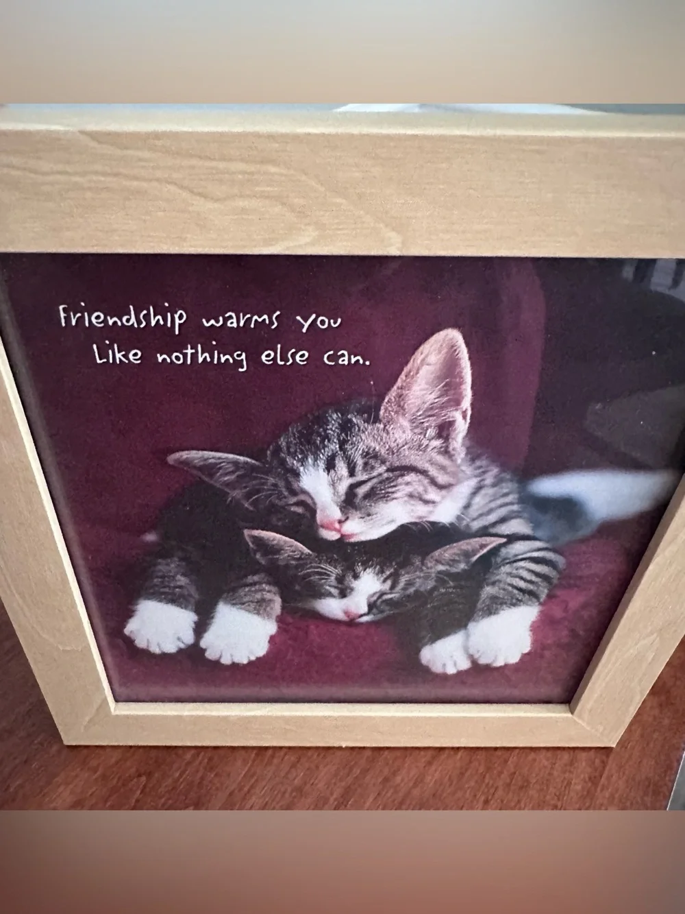 Portal Set of 3 Framed Kitten Prints Cozy Places Friendship Purrfect Fit